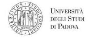 Logo Università Padova